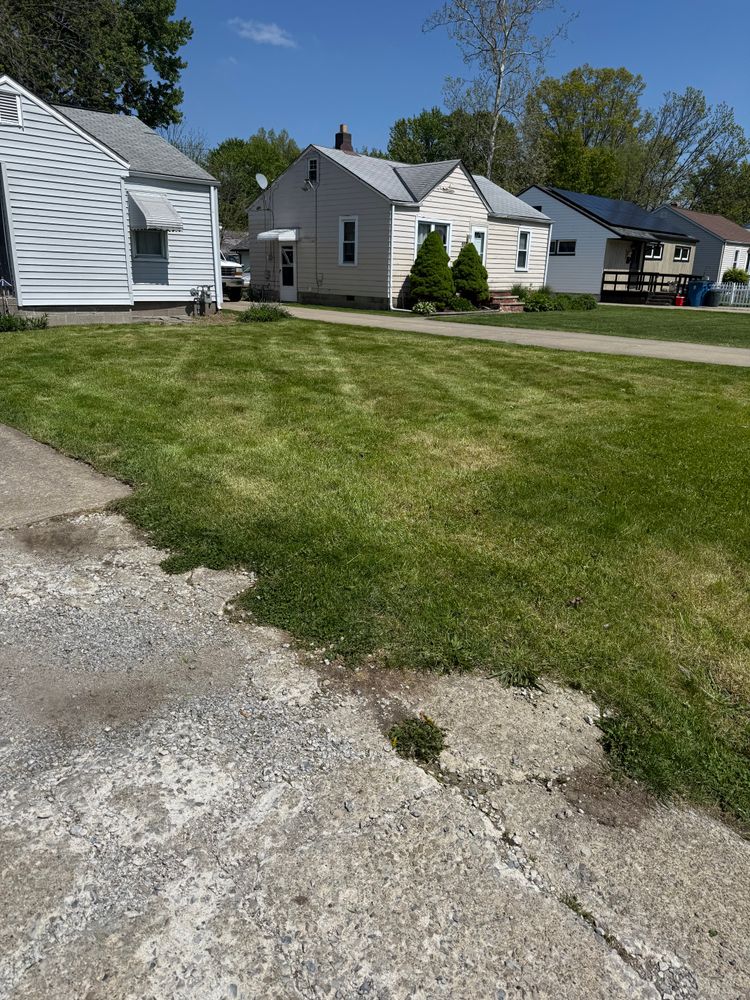 All Photos for Yard Theory in Willowick, OH
