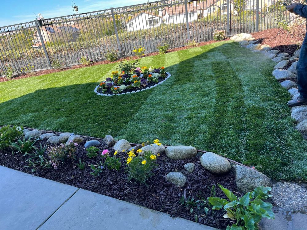 All Photos for Benito's Gardening in San Juan Capistrano, CA