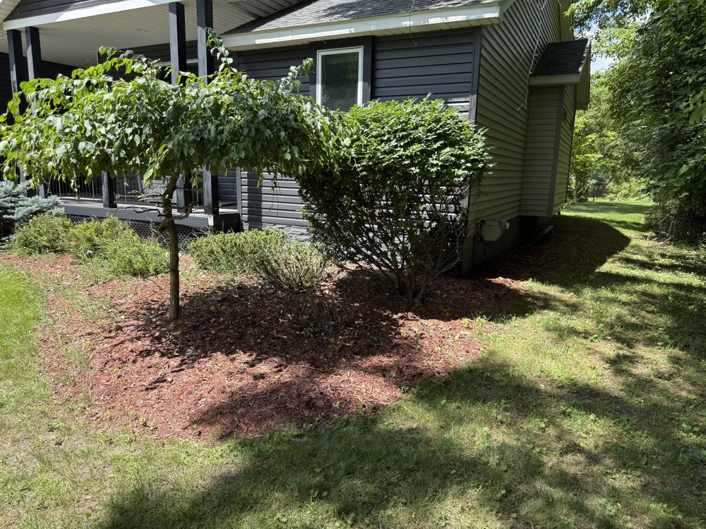 Landscaping Lawn Care for Daugherty's Tough Lawn Care in Essexville, MI