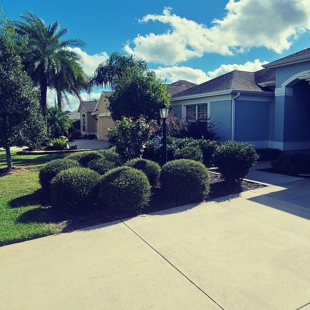 All Photos for TopNotch Landscaping Services  in The Villages, FL