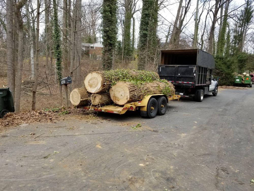 Landscaping for Douthat Solutions in Clearwater, FL