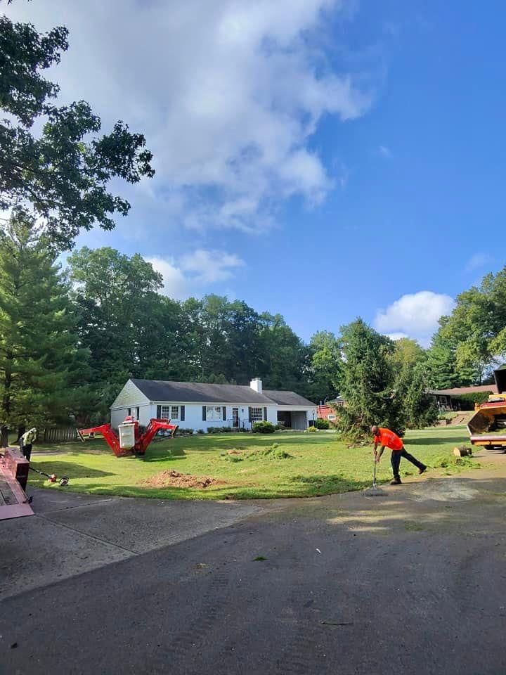 All Photos for F & F Tree Service in Beavercreek, OH