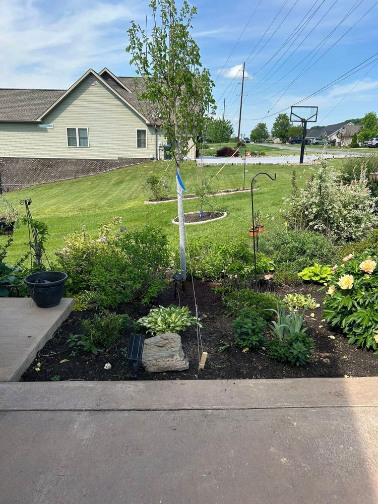Transform your outdoor space with our expert Landscape Installation service, offering professional mulch installation to enhance soil health and aesthetic appeal, while providing a lush foundation for thriving plants. for Gatrell Landscape & Tree Removal in Bluff City, TN