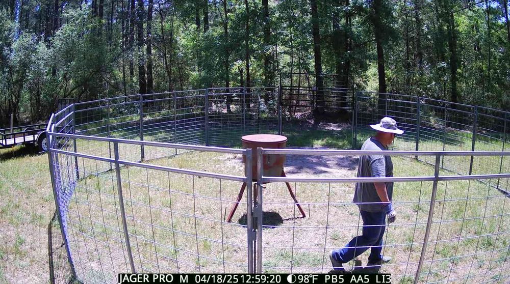 All Photos for Havoc Hog Control in Molino, FL