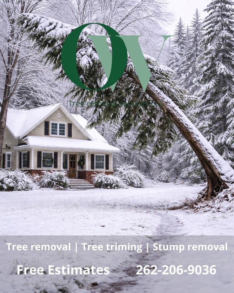 All Photos for Oakwood Tree Removal LLC in Oak Creek,  WI