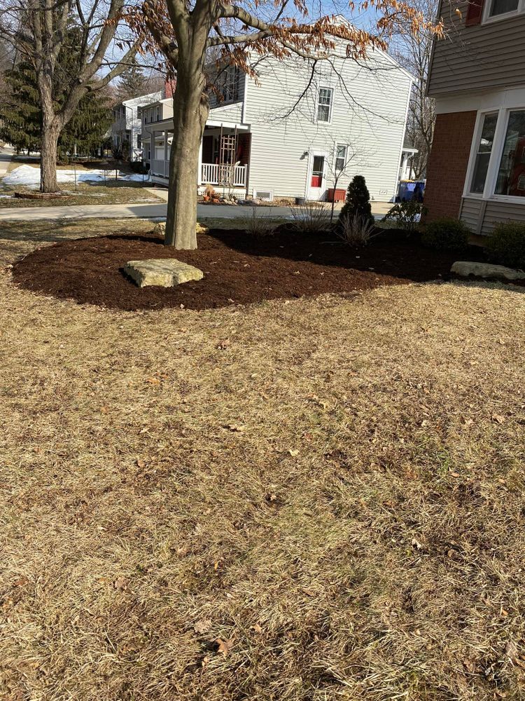 Landscaping for Solid Oak Lawn Care in East Grand Rapids, MI