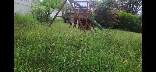 All Photos for Green Lawn Care in Ambler, PA