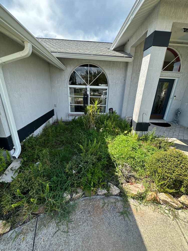 All Photos for MX Trees LLC in Englewood, FL