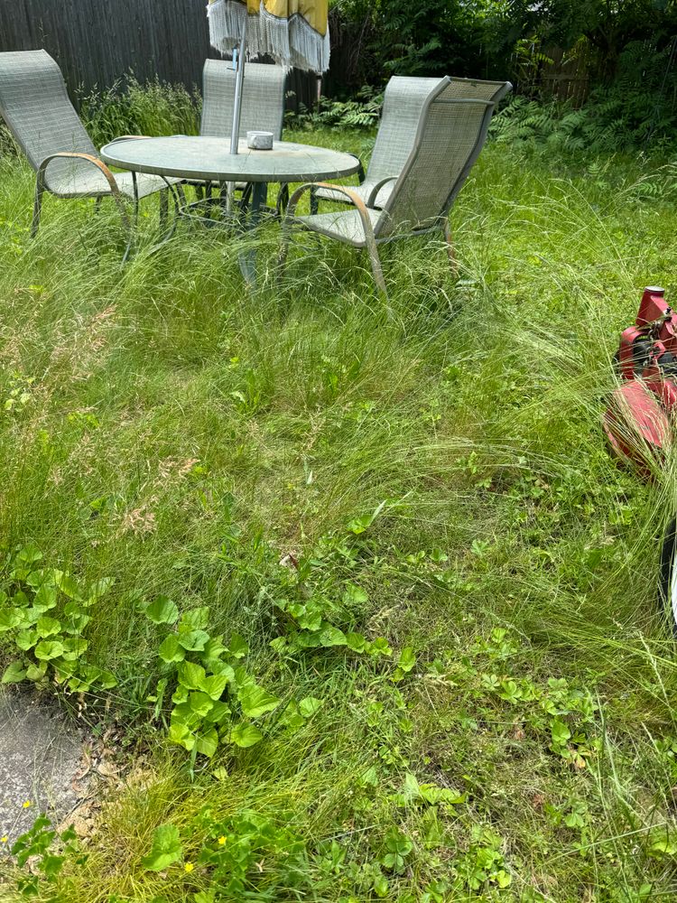 All Photos for Adams Landscaping in Springfield, MA