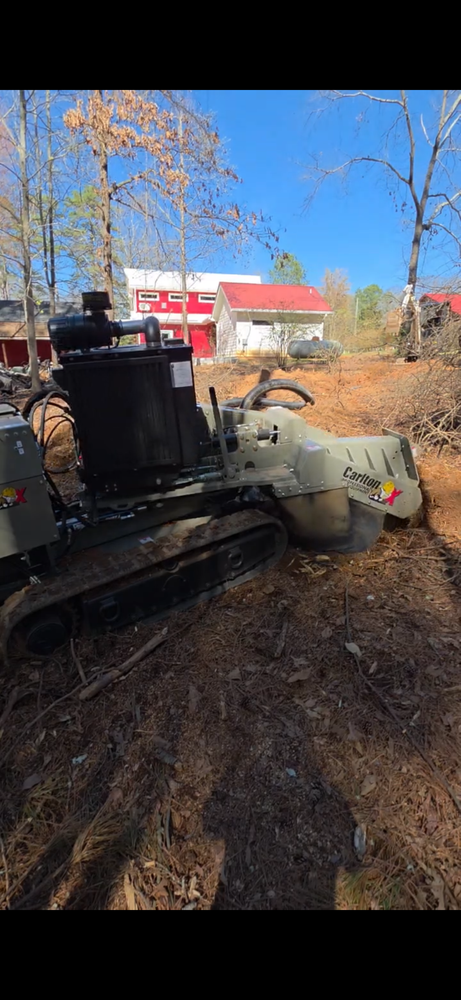 Our stump grinding service safely eliminates unsightly tree stumps below ground level, improving curb appeal and yard usability. Trust our experts for efficient, affordable stump removal with minimal landscape disruption. for Lakeside Tree Experts LLC in Hartwell, GA