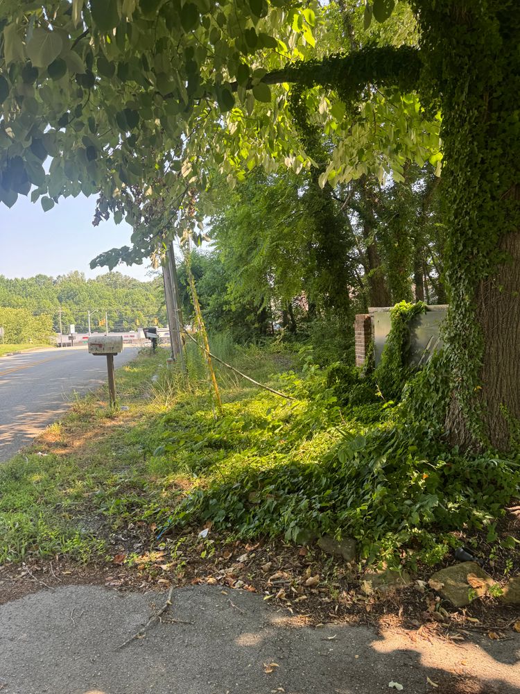 All Photos for Miller Farms Hay & Land Management in Knoxville, TN