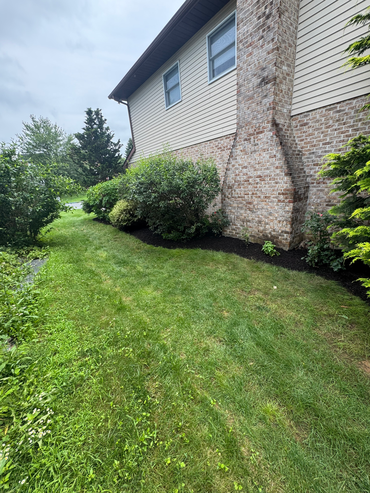 All Photos for Landscape & Lawn Care Pros in Temple, PA