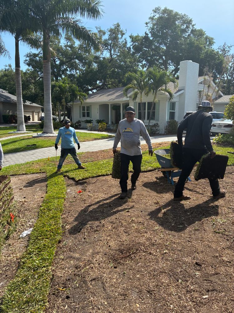 All Photos for Gulf Bay Sod in Clearwater, FL