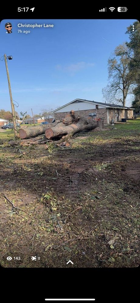 All Photos for Morace Tree Service in Natchez,,  MS