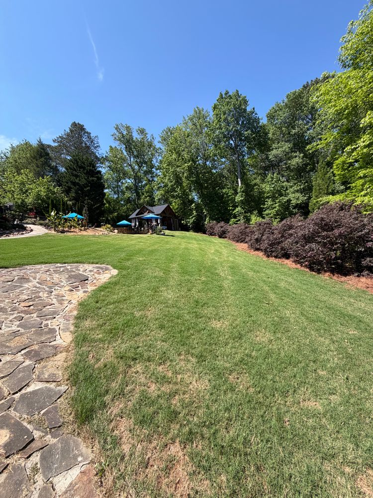 All Photos for ACE Lawn Care of Georgia LLC in Gainesville, GA