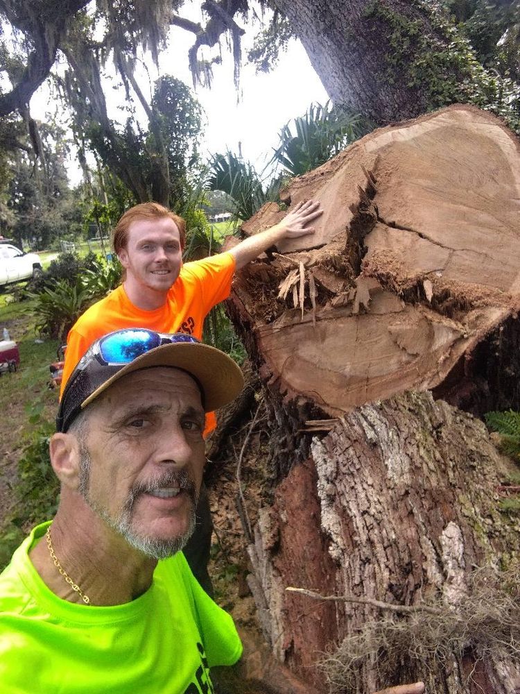 All Photos for Bills Tree Service in Valrico, FL
