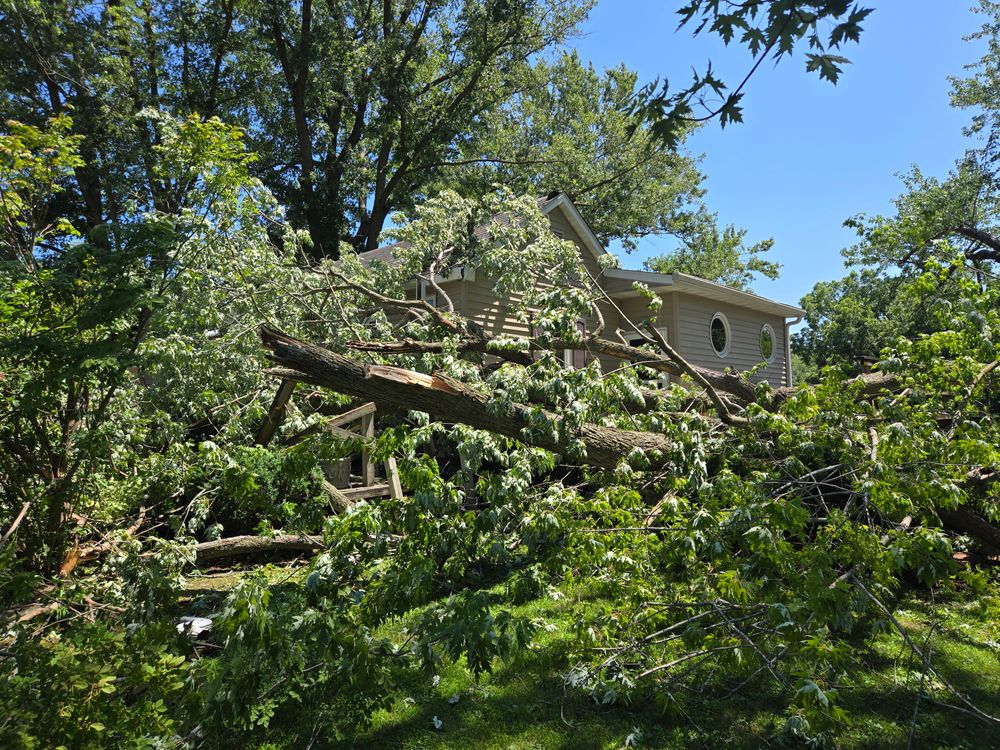 All Photos for Lawn Ranger Yard And Tree Service LLC in Ottumwa, IA