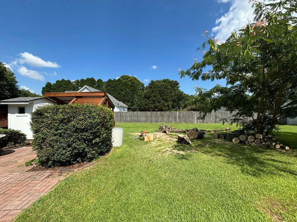 Tree Services for Total Tree Care in Erwin, North Carolina