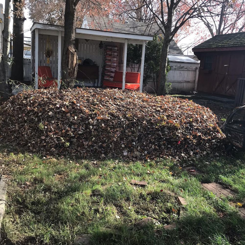 All Photos for LGZ Landscaping LLC in Belleville, NJ