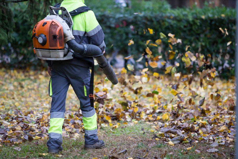 Our Blowing service is essential for homeowners after lawn mowing as it removes grass clippings, leaves, and debris to ensure a clean, pristine-looking yard. Upgrade your lawn care routine today! for A&D Lawn Care of Lakeland in Lakeland, FL