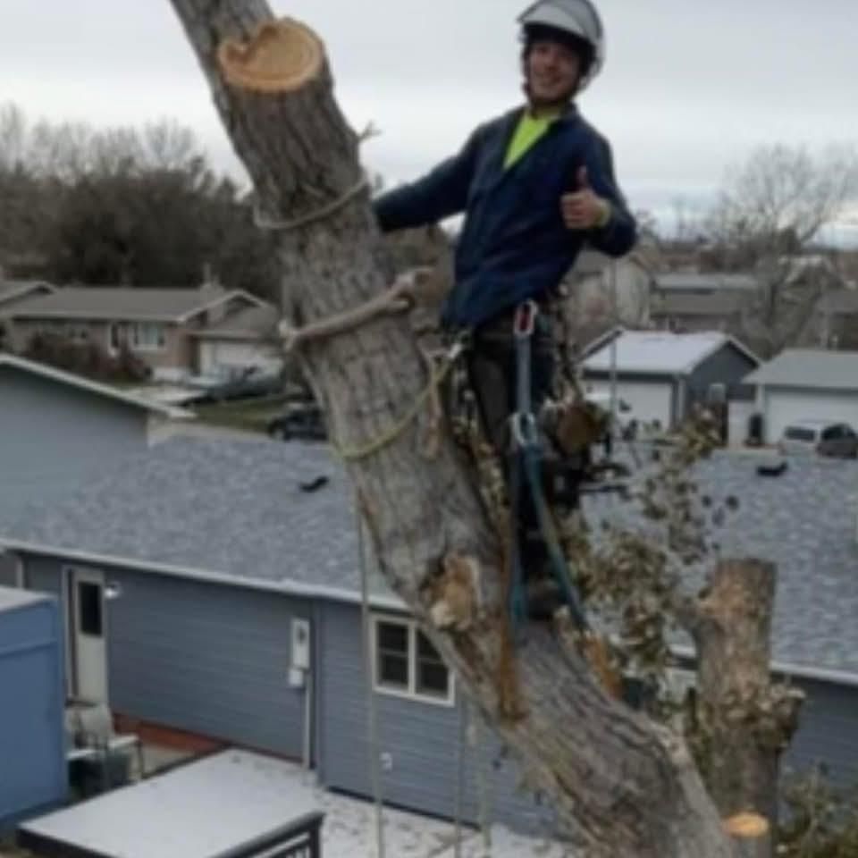 All Photos for Elevated Tree Care in Gillette, WY
