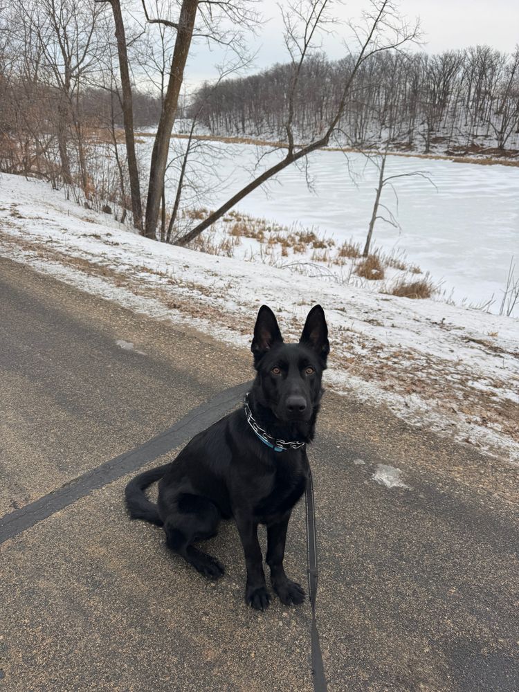 All Photos for Code 4 Defense in Pelican Rapids, MN