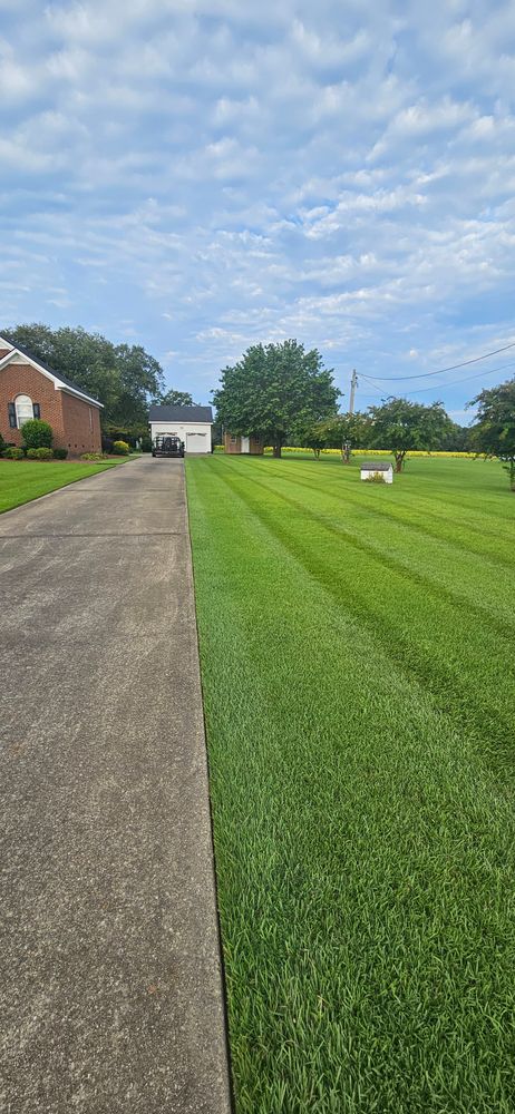 Beautiful Lawns for Natures Accent in Wilson, NC