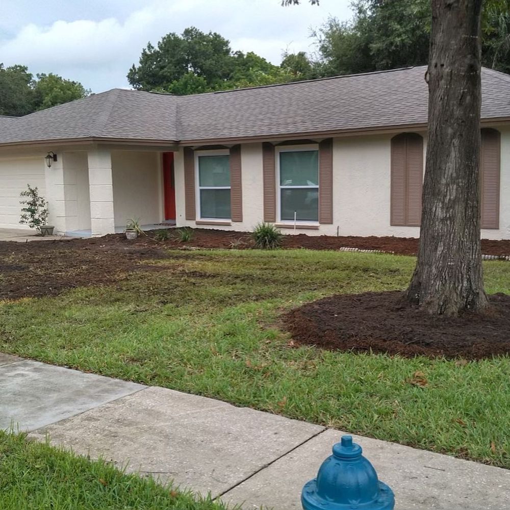 All Photos for TLM Landscape Professionals in Clermont, FL