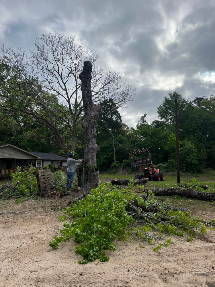 All Photos for JC Land and Tree Service in Kilgore, TX