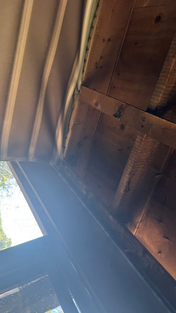 All Photos for Surplus Public Adjusters in Miami-Dade County, FL