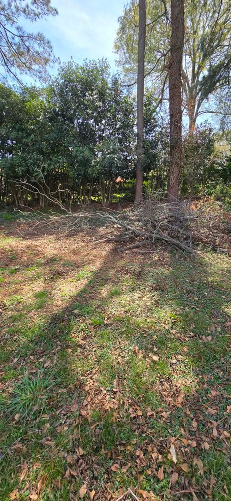 All Photos for Toney Site Services LLC in Rutherford County, NC