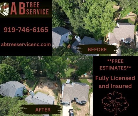 All Photos for AB Tree Service in Raleigh, NC