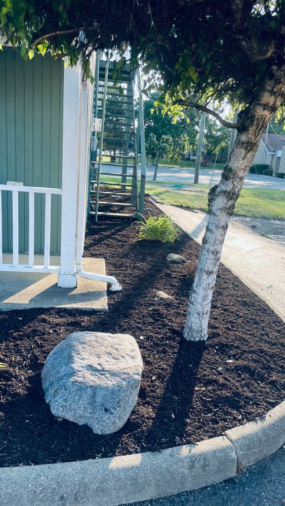 All Photos for Green Stripes LLC in North Canton, OH