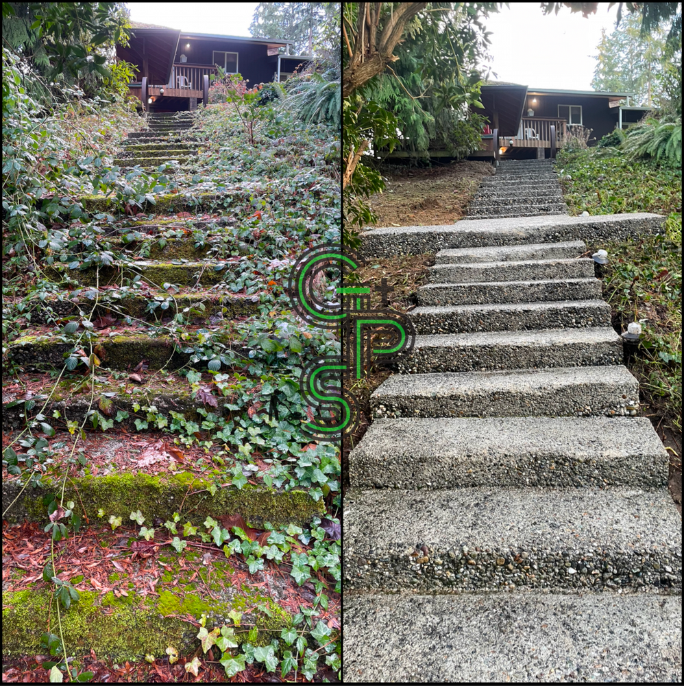 Pressure Washing for Golovin Property Services LLC in Marysville, WA