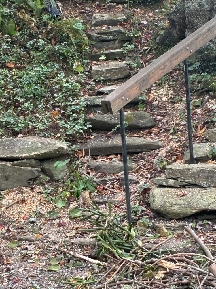 All Photos for Oakhurst Landscaping and Tree Service in Charlotte, NC