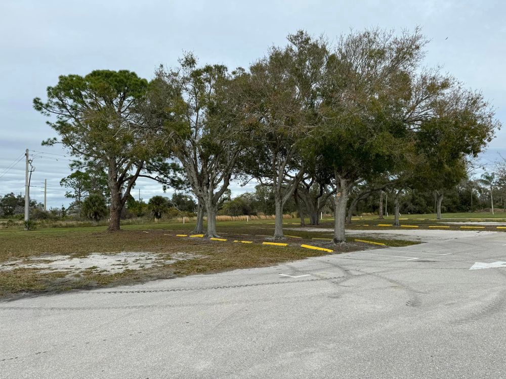 Tree Removal for Lemon Bay Tree Service  in Englewood, FL