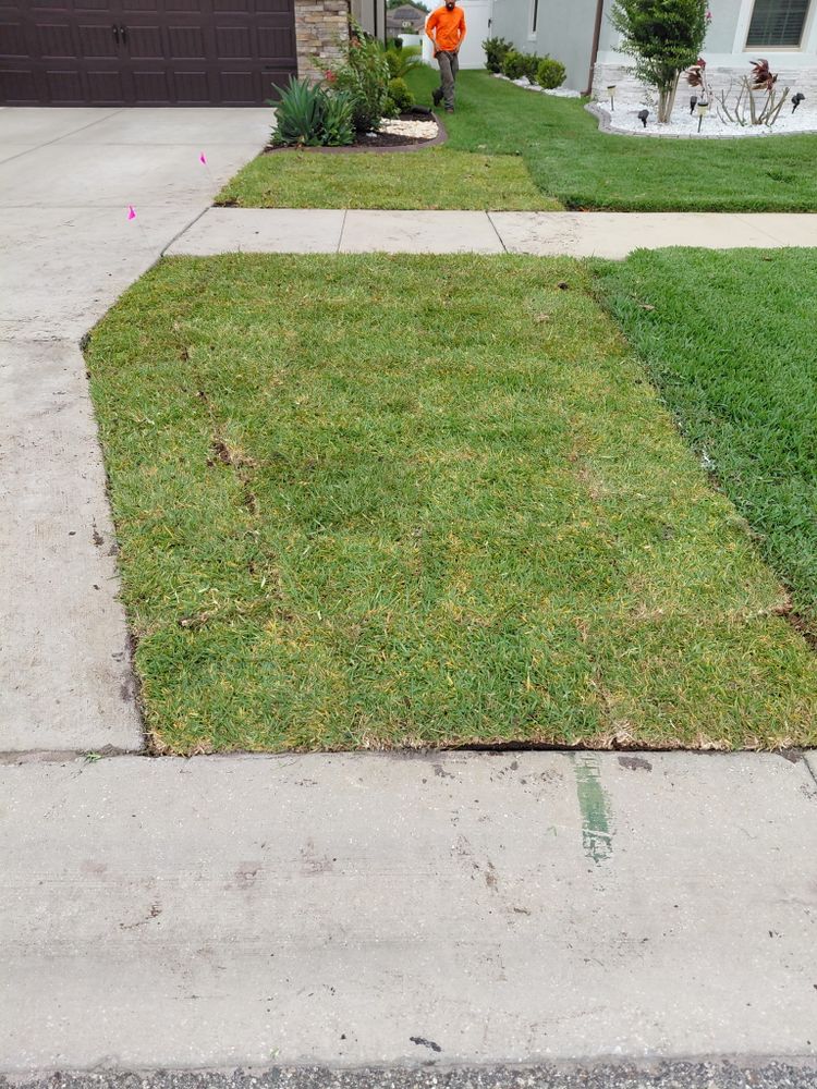 All Photos for Gulf Bay Sod in Clearwater, FL