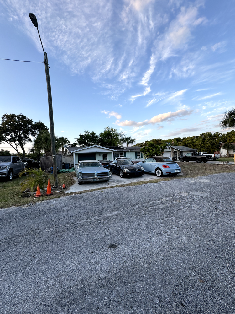 All Photos for Elevation Tree Service in Holiday, FL