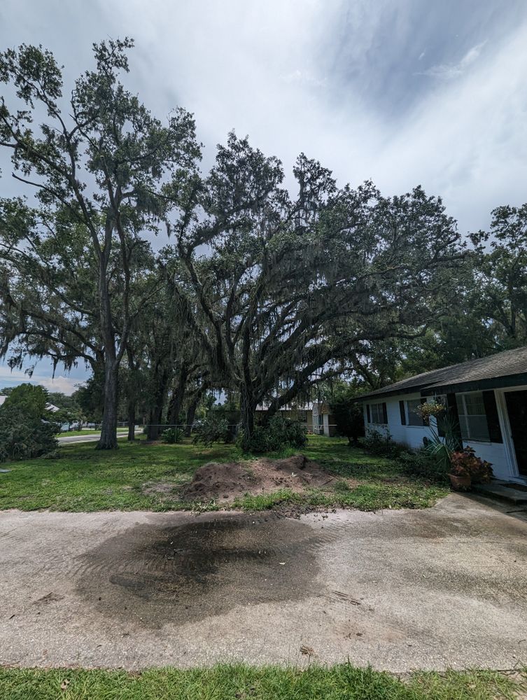 All Photos for Regal Tree Service and Stump Grinding in Wauchula, FL