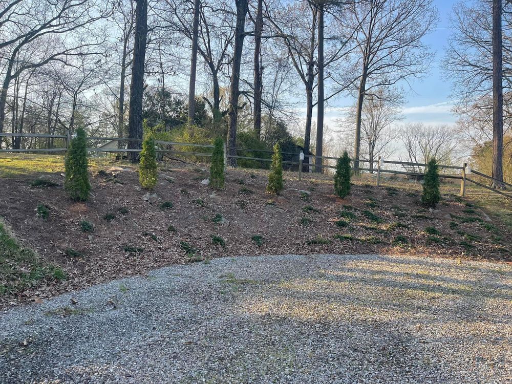 All Photos for Greenwood Lawn & Landscaping LLC in Talladega, Alabama