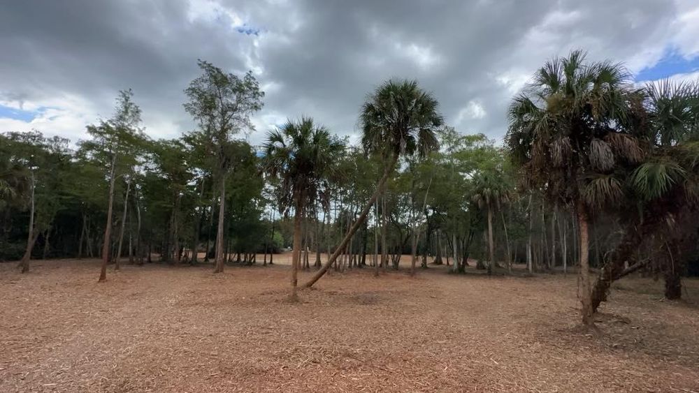 All Photos for McLeran in Naples, FL