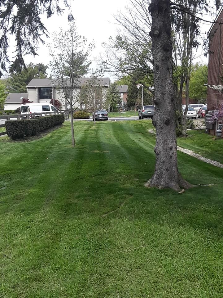 Lawn Care for The After Effect LLC in Louisville, KY