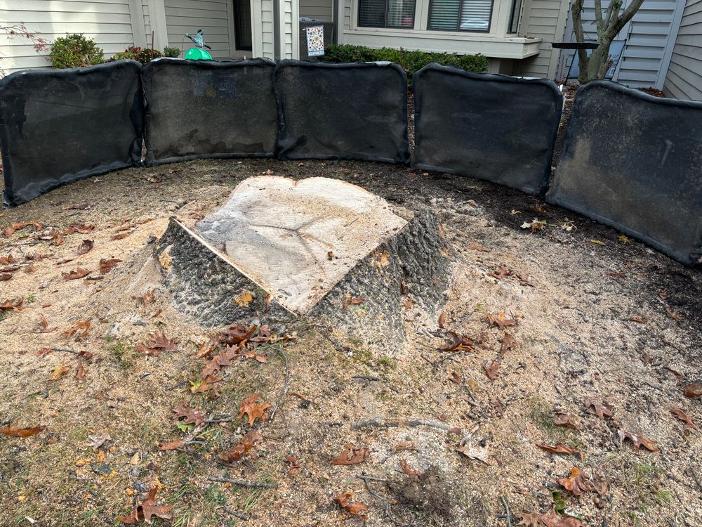 All Photos for Conrad's Stump Removal in Columbus, IN