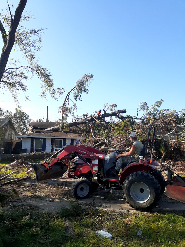 All Photos for Professional Tree Service USA in Chattanooga, TN