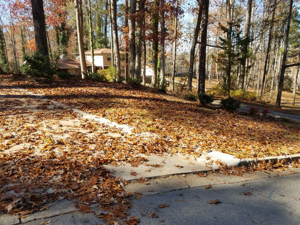 Our Fall and Spring Clean Up service includes removing leaves, debris, and dead vegetation from your lawn to prepare it for the changing seasons and promote healthy growth throughout the year. for New Beginning Landscape & Remodel LLC in Atlanta, GA