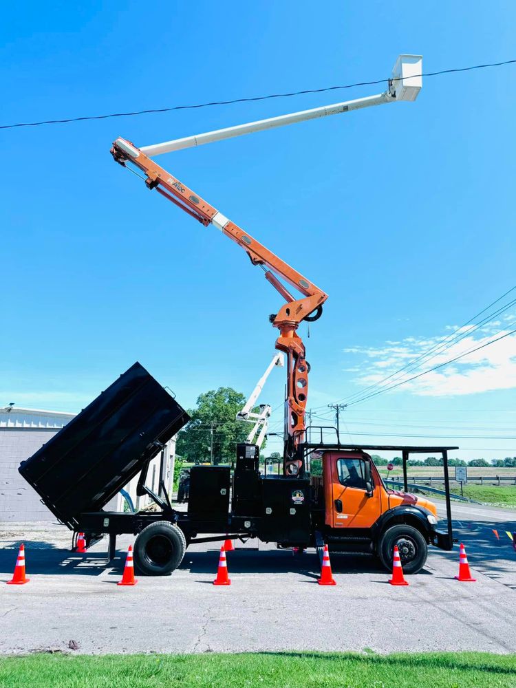 Enhance your property's safety and aesthetics with our expert tree trimming service. We ensure healthy growth, prevent hazards, and boost curb appeal by skillfully pruning trees to perfection year-round. for Lamb Brothers Land Clearing in Murray, KY