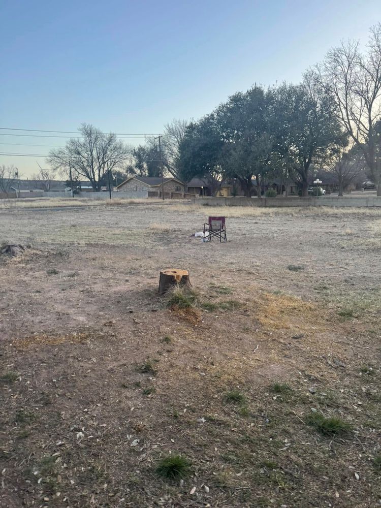 Tree Removal for Lion In The Tree Trimming Service in Big Spring, TX