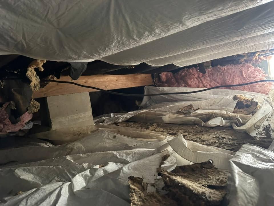 All Photos for The Guys Landscaping & Foundation Repairs LLC in Trenton, MI