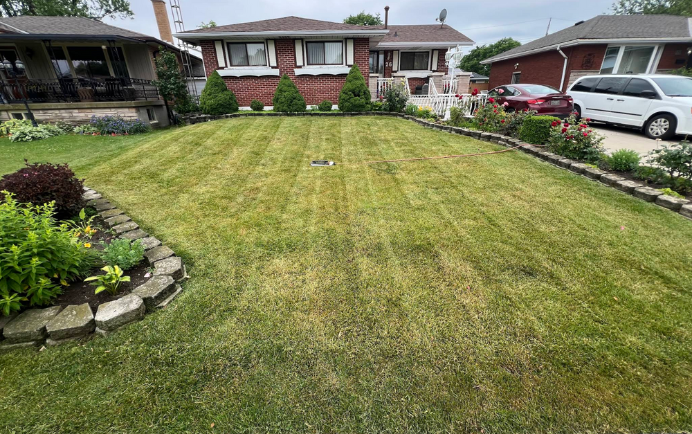 Landscaping  for CMN Exterior Maintenance in Hamilton, ON