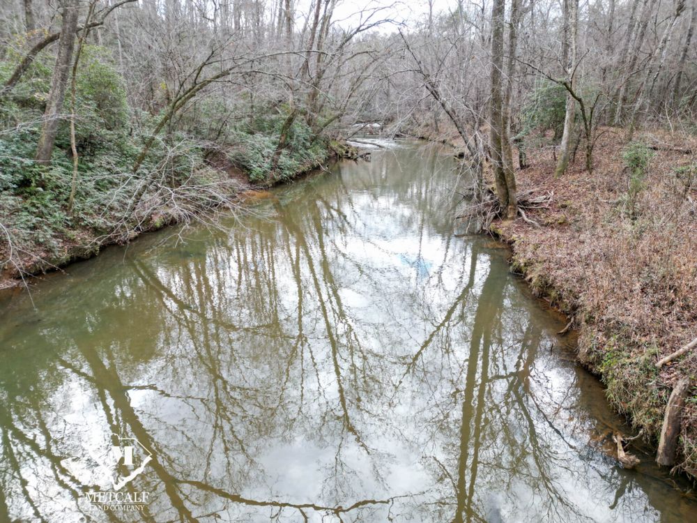 All Photos for Bluff Country Whitetails in Southern Indiana, IN